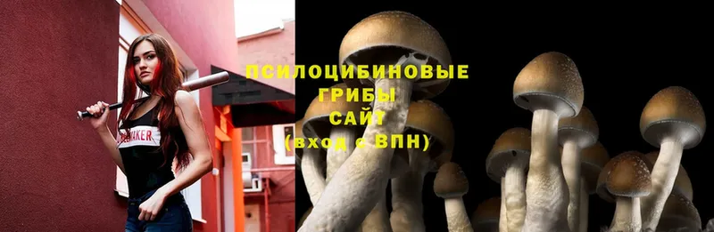 Галлюциногенные грибы Magic Shrooms  Олёкминск 